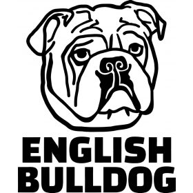 Angol bulldog matrica