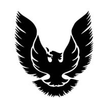 Pontiac autómatricák – tuning és logó dizájn