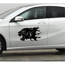 Autódekor, autó dekoráció, tuning matrica, autótetoválás