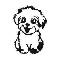 Bolognese kutyás autómatricák 