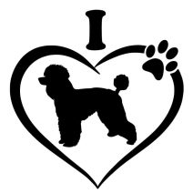 Uszkár kutyás autómatricák 