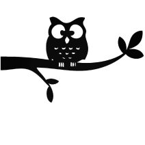 Madaras matricák – repülő és természet ihlette dizájn