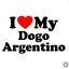 Argentin dog matrica 6