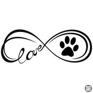 Basset hound matrica 0