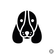 Basset hound matrica 2