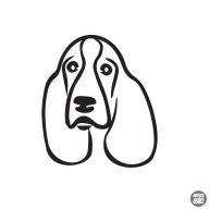 Basset hound matrica 3