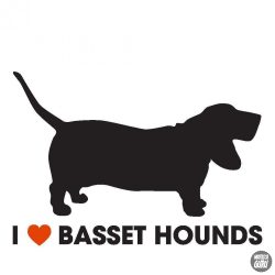 Basset hound matrica 6