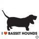 Basset hound matrica 6