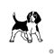 Beagle matrica 2