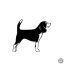 Beagle matrica 5
