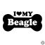 Beagle matrica 6