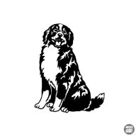 Berni pásztor matrica 0