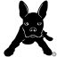 Boston terrier matrica 3