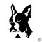 Boston terrier matrica 7