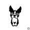 Boston terrier matrica 9