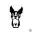 Boston terrier matrica 9