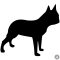 Boston terrier matrica 11