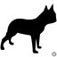 Boston terrier matrica 11