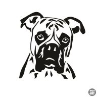 Boxer matrica 2