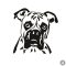 Boxer matrica 2