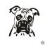Boxer matrica 2