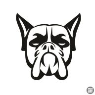 Boxer matrica 10