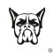 Boxer matrica 10