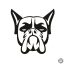 Boxer matrica 10