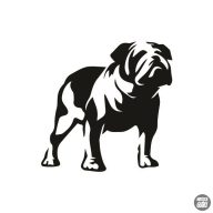Bulldog matrica 6