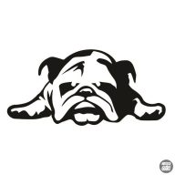 Bulldog matrica 11