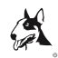 Bullterrier matrica 0