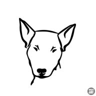 Bullterrier matrica 3
