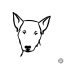 Bullterrier matrica 3