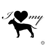 Bullterrier matrica 7