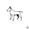 Bullterrier matrica 8