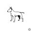 Bullterrier matrica 8