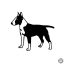 Bullterrier matrica 9