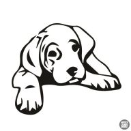 Cane corso matrica 3