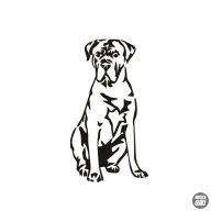 Cane corso matrica 4