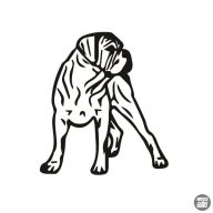 Cane corso matrica 5