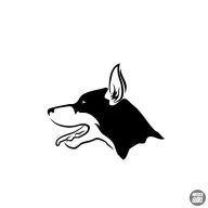 Dobermann matrica 11