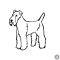 Foxterrier matrica 6