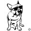Francia bulldog matrica 3
