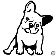 Francia bulldog matrica 4