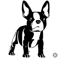 Francia bulldog matrica 5