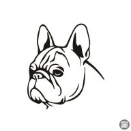 Francia bulldog matrica 8