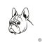 Francia bulldog matrica 8