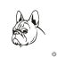 Francia bulldog matrica 8