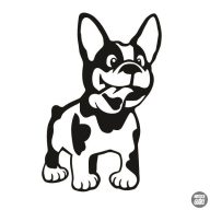 Francia bulldog matrica 9