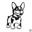 Francia bulldog matrica 9